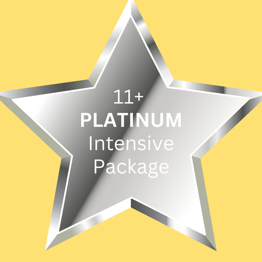 11+ PLATINUM Intensive Package: Premium Tutoring for Exam Success