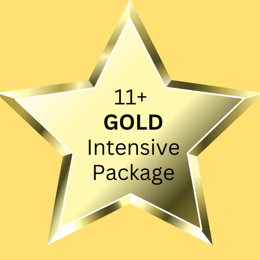 11+ GOLD Package: Premium Tutoring for Exam Success