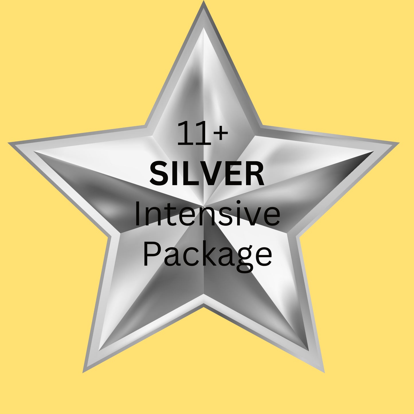 11+ SILVER Package: Essential Tutoring for Exam Readiness